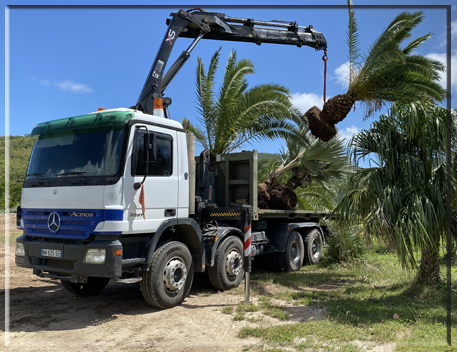 location de camion grue sur saint-martin location de camion plateau sur saint-martin.
